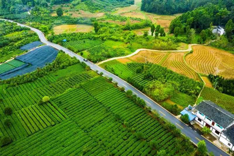 加快農(nóng)村客運(yùn)提檔升級(jí) 奮力譜寫四好農(nóng)村路“運(yùn)營(yíng)好”新篇章_農(nóng)村客運(yùn)系統(tǒng)開(kāi)發(fā)_農(nóng)村客運(yùn)軟件開(kāi)發(fā)_農(nóng)村客運(yùn)APP開(kāi)發(fā)